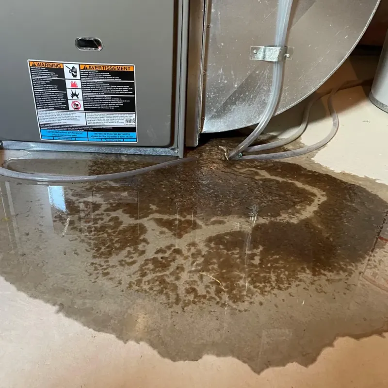 Appliance Leak Cleanup in Hopkins, SC